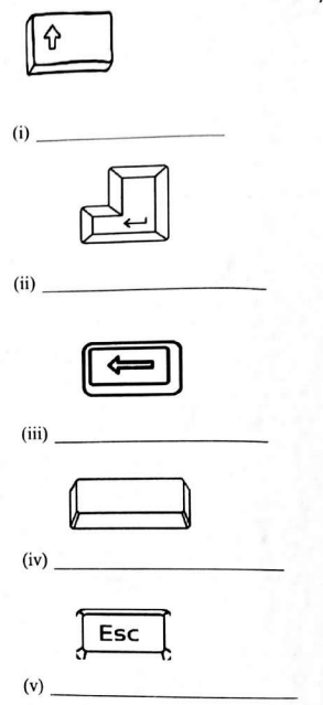 G7CHST1RNA23003Q6