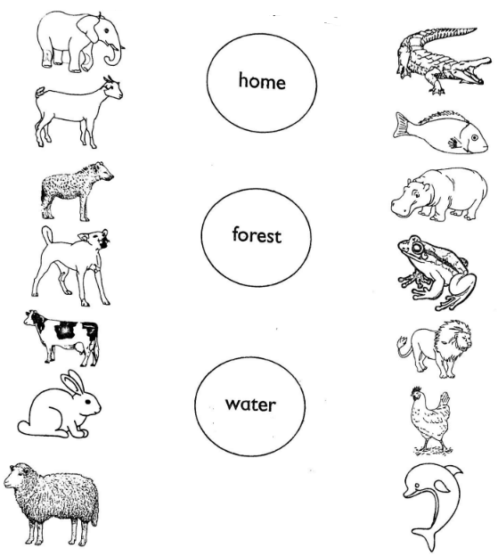 pp2 homework mathematics