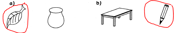 MEASUREMENTS JAGUYDA