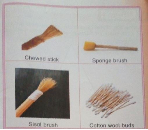 13 brushes