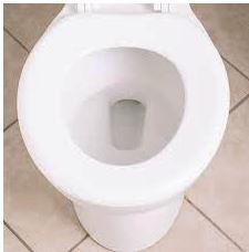 19 toilet seat