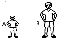 Grade 3 CBC maths ET2 set 2 2021 F4