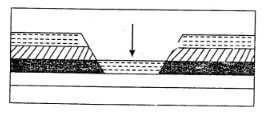 SostG4et221q29