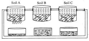 sciG4et221q40