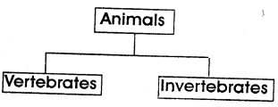 Grade4 science chart