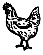 Hen