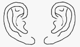 ear