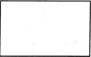 rectangle yuguyda