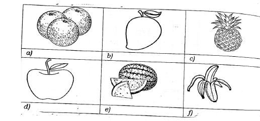 fruits