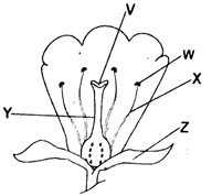 C8SCIET3S12023Q6