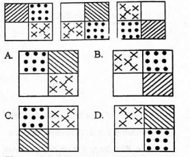 C8MathT1KP23001Q49