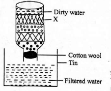 C8SciT1KP23001Q17