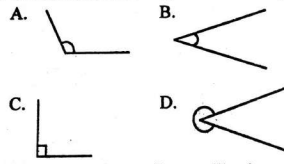 G5MathT1TNS00323Q24