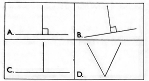 G6mathMT2S22023Q26