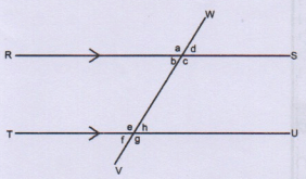 C8MathKCPE2023Q40