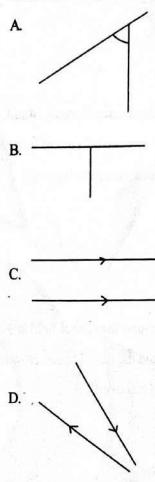 G6MathT1SB23002Q29