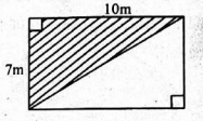 G6MathT1S23003Q19