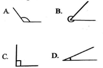 G5MathT1SE23003Q17