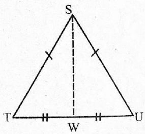 C8MATHSMT2S72023Q11