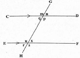 C8MATHSMT2S72023Q23