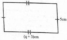 C8MATHSMT2S72023Q43