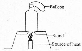 C8SCIENCEMT2S72023Q13