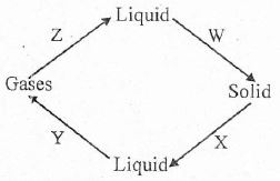 C8SCIENCEMT2S72023Q19