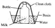 Class8ScienceET3OP2023Q10