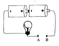 Class8ScienceET3OP2023Q13