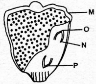 C8SciT1DR00223Q32