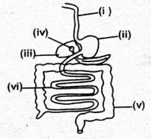 C8SciT1DR00223Q42