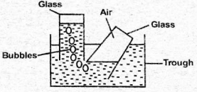 C8SciT1DR00223Q45