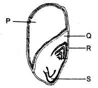 C8SciMT2S12023Q7