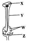 C8SCIET2S22023Q34