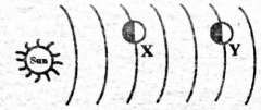 C8SciT1KST00223Q29