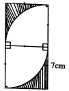 C8MathMT2S22023Q19