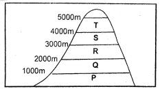 C8SSTMT2S42023Q15