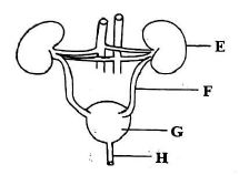 C8SCIENCEMT2S52023Q2