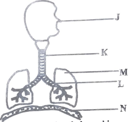 SciT12023S2Q34