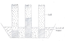 SciT1O2023C8Q15