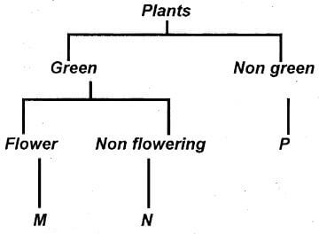 Sci q15