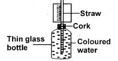 Sci q20