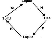 Sci q23