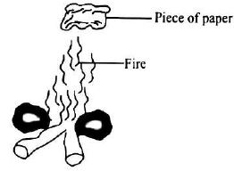 GRADE6SCIENCESET1ET22023Q14