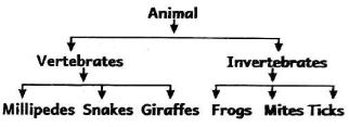 GRADE4SCIENCESET22023Q4