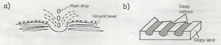 Grade 5 End Term 2 sci Set 1 Q8