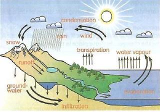 Water cycle