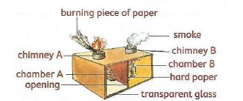 convection in water