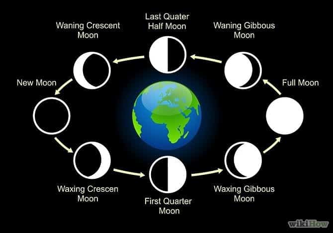 phases of the moon