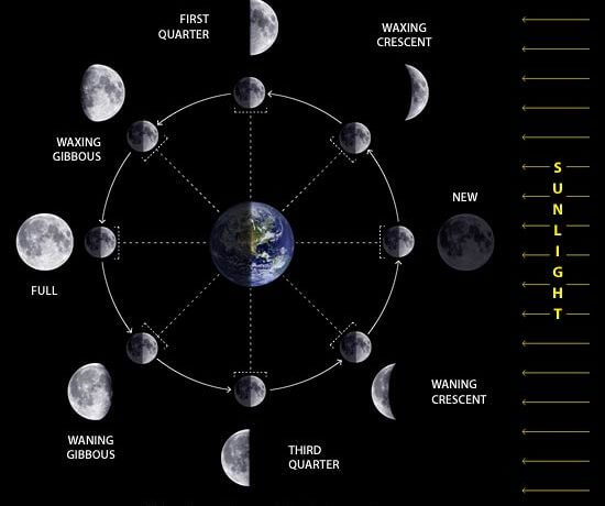 phases of the moon2